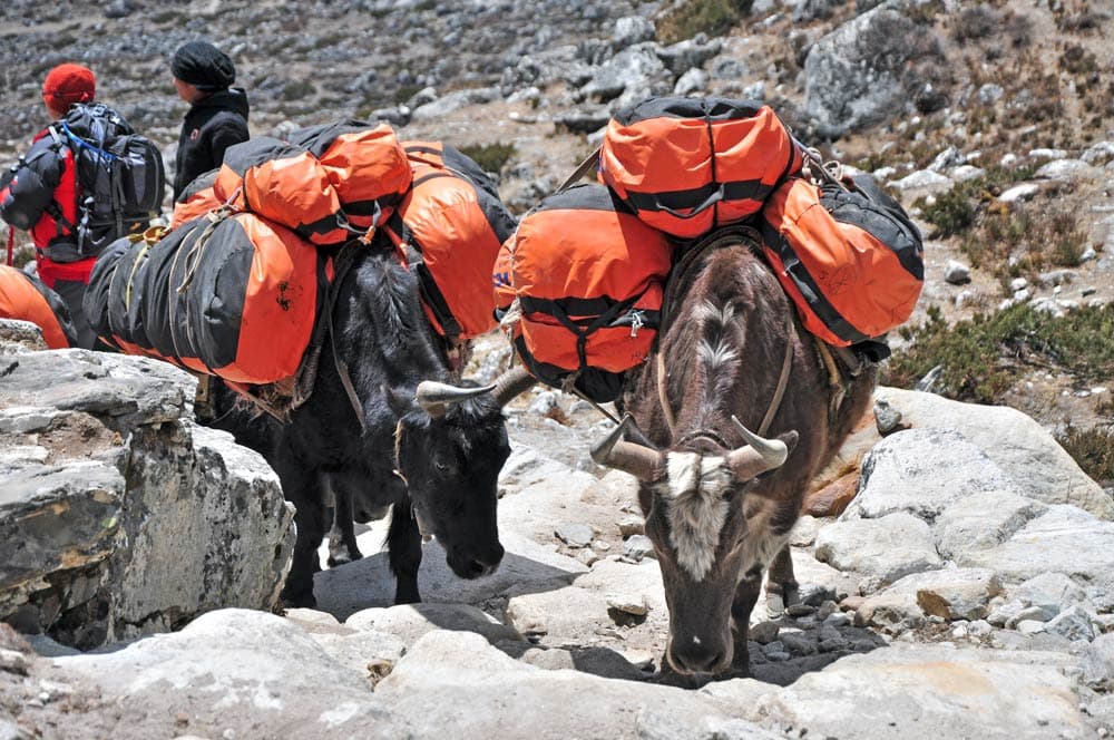 Khumbu Valley