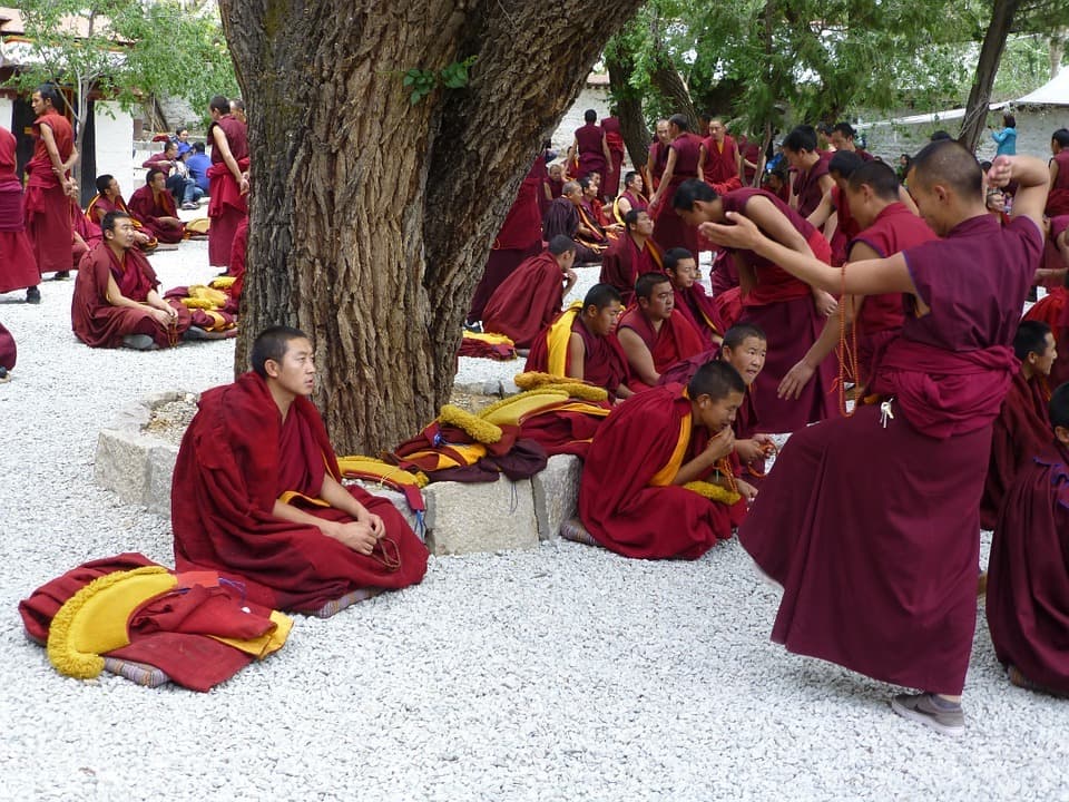 tibet sera
