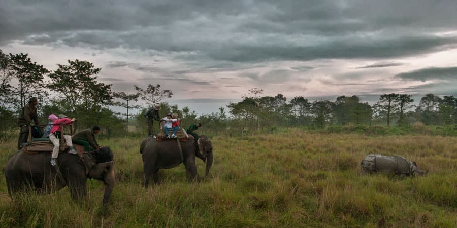 Elephant Safari