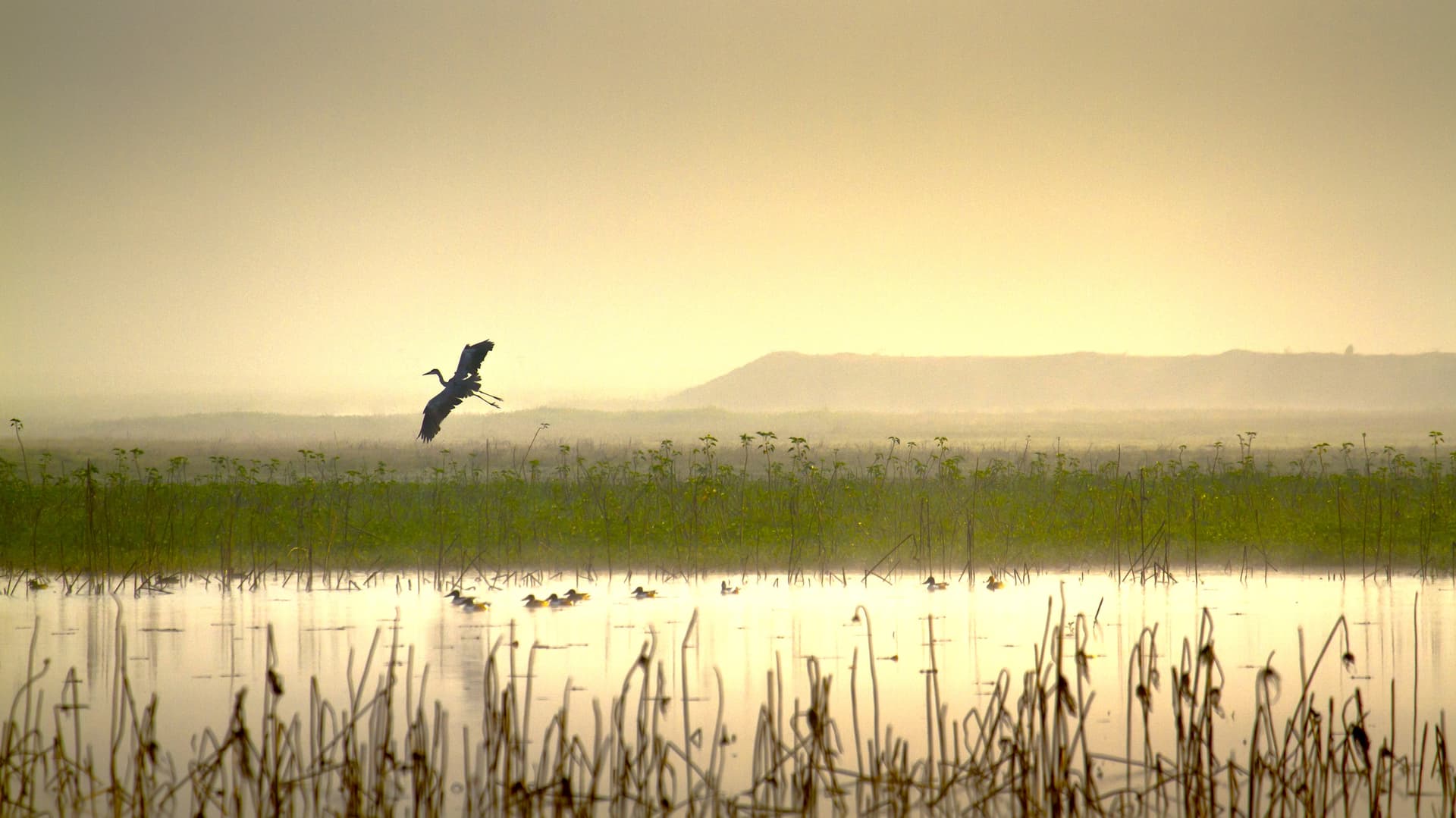Terai and Chitwan