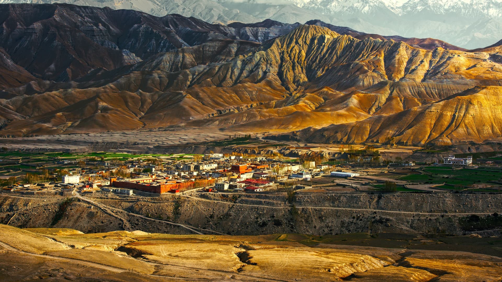 Mustang and High Plateaus