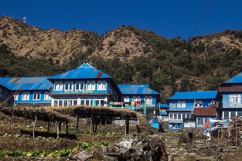ghorepanim