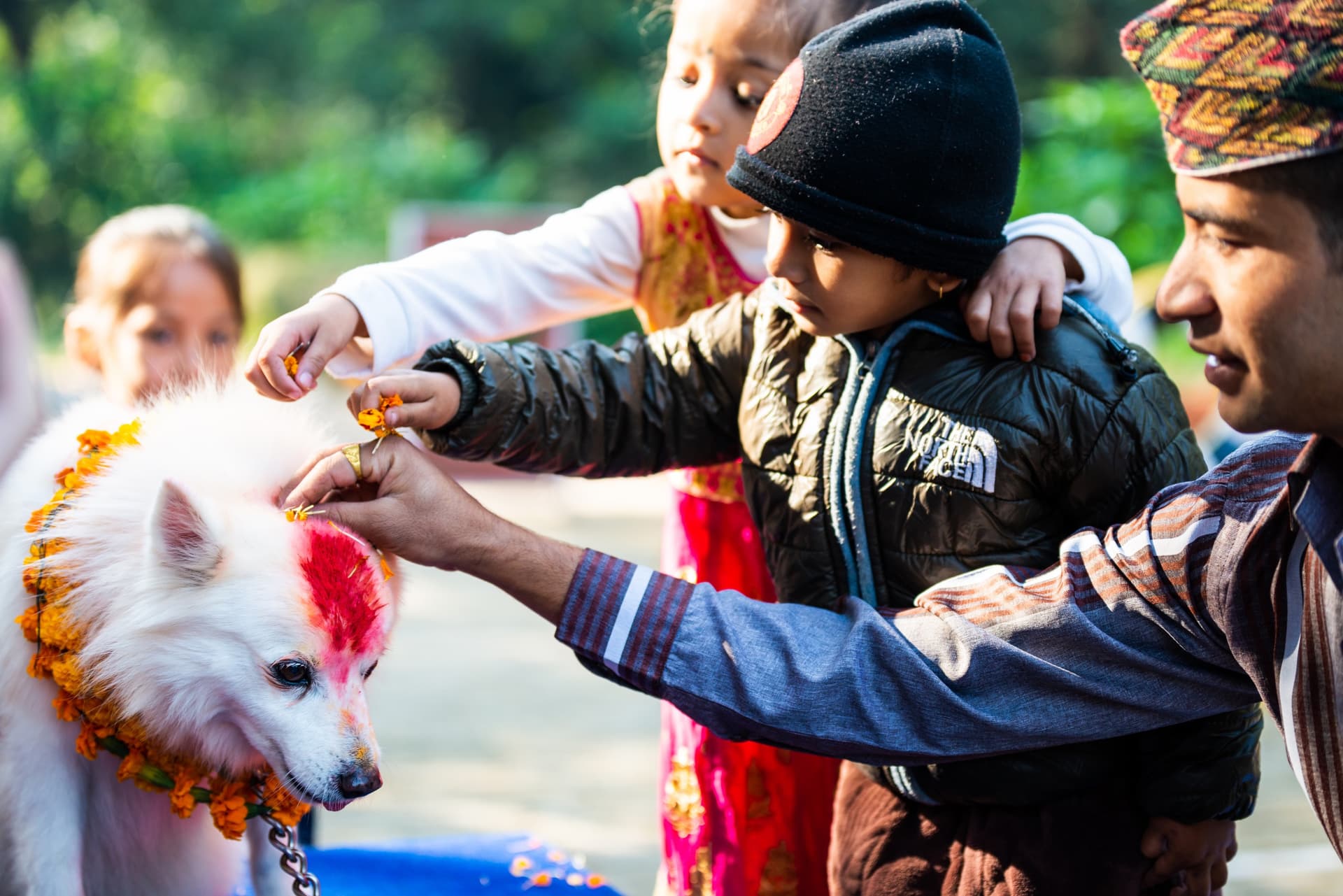 Kukur Tihar: The Festival Celebrating Dogs in Nepal